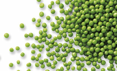 Garten Erbsen 1 kg
